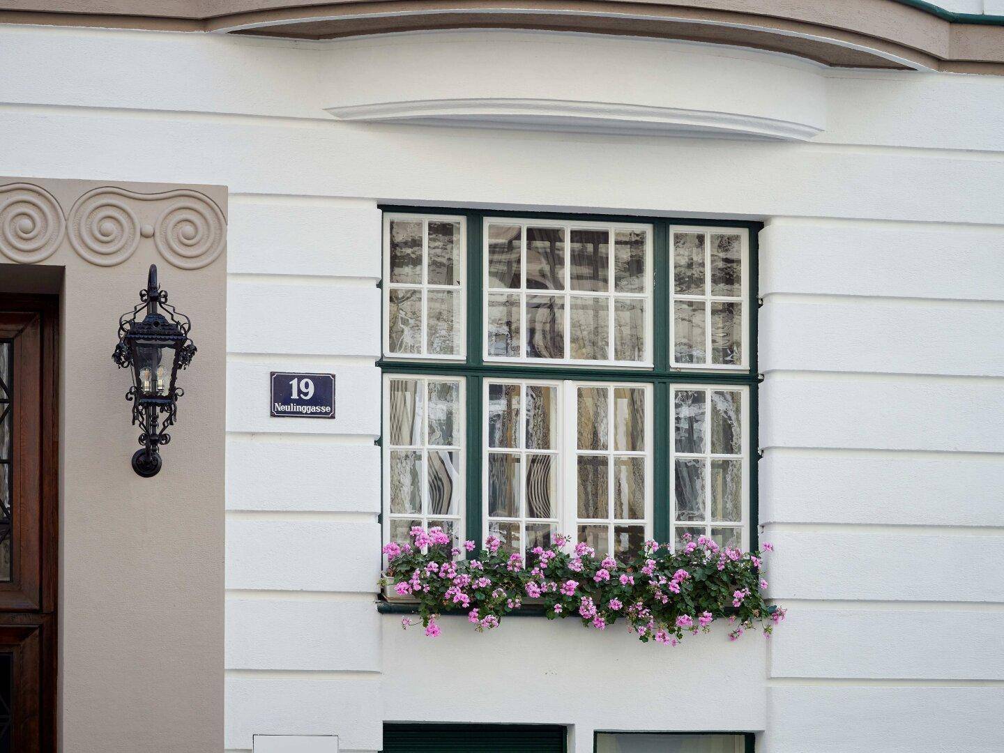 Detailansicht eines Fensters mit grünen Rahmen, Blumenkästen und der Hausnummer 19.