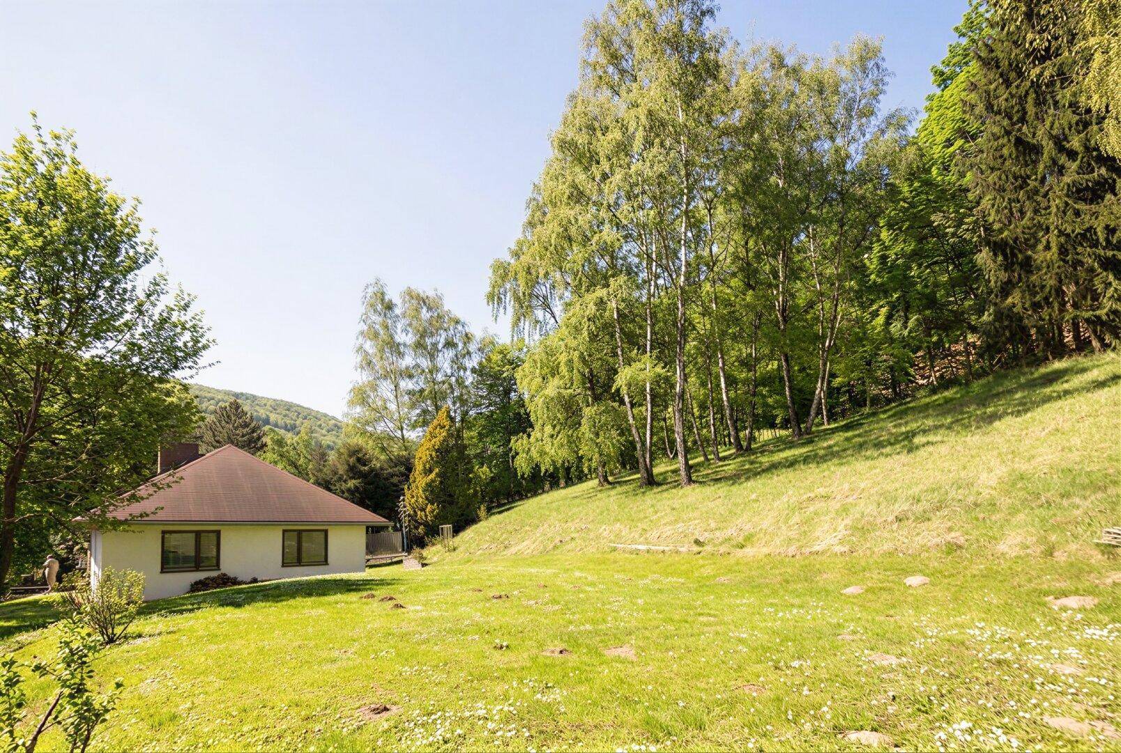 Weitläufiges grünes Grundstück mit Haus und hohen Bäumen in einer idyllischen Landschaft.