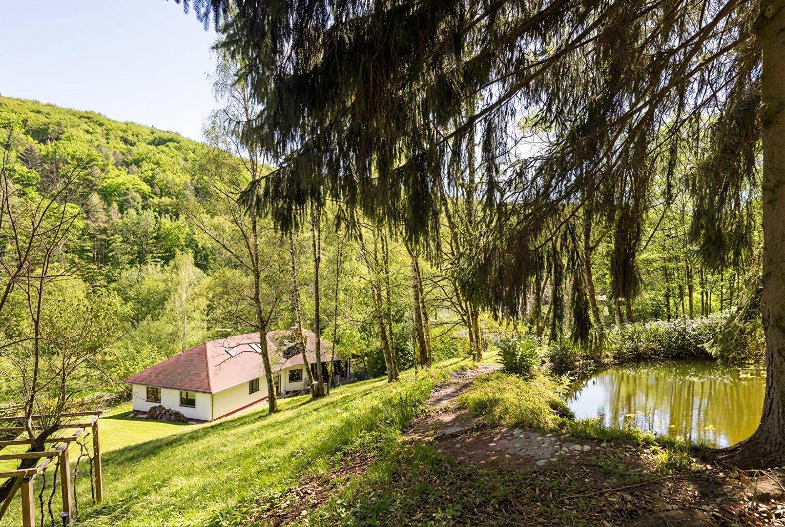 Haus in grüner Umgebung mit einem kleinen Teich und hohen Bäumen, umgeben von Natur.