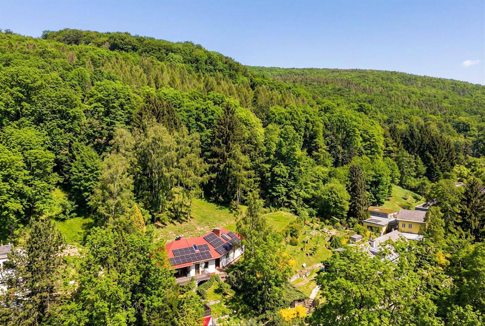 Weitläufige Luftaufnahme des Hauses in einer grünen, bewaldeten Hügellandschaft.