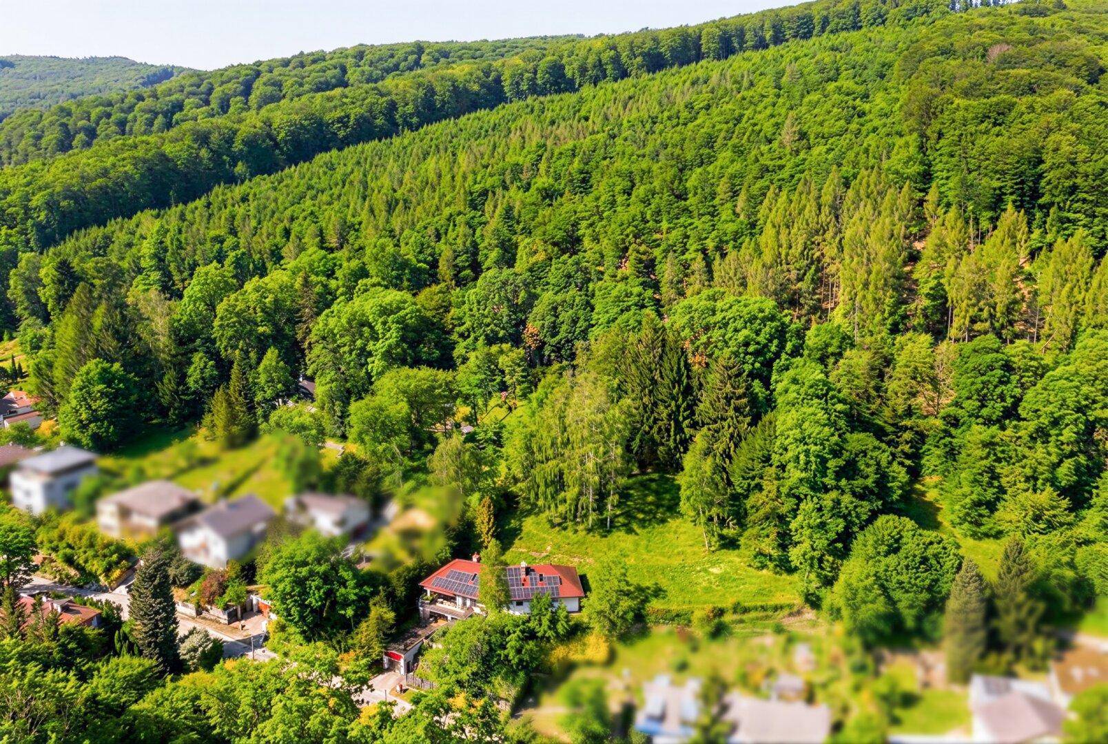 Panoramablick aus der Luft auf das Haus und die umliegende grüne Naturlandschaft.