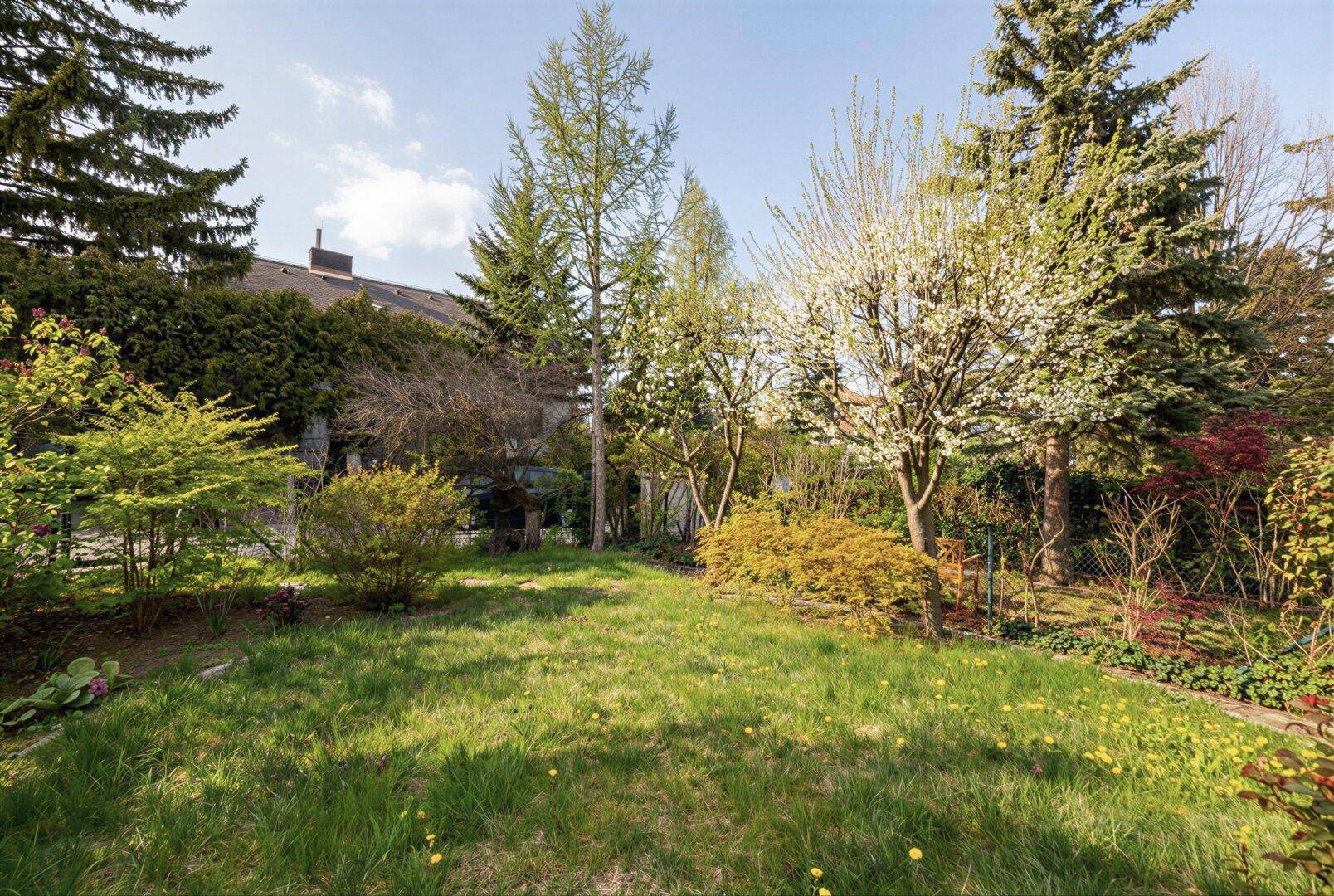 Sonniger Gartenbereich mit großer Rasenfläche und altem Baumbestand, ideal zum Entspannen.