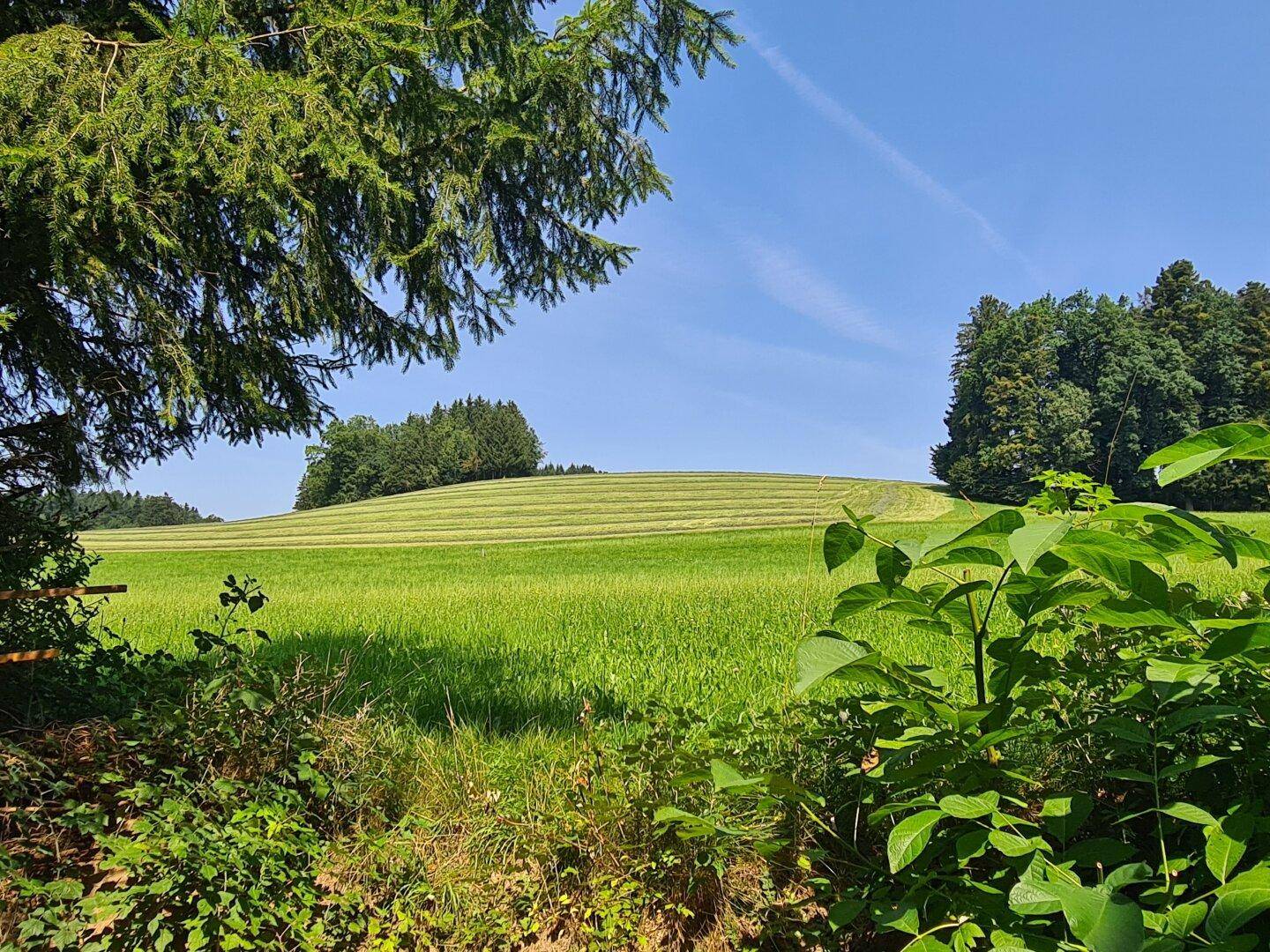 Hausverkauf