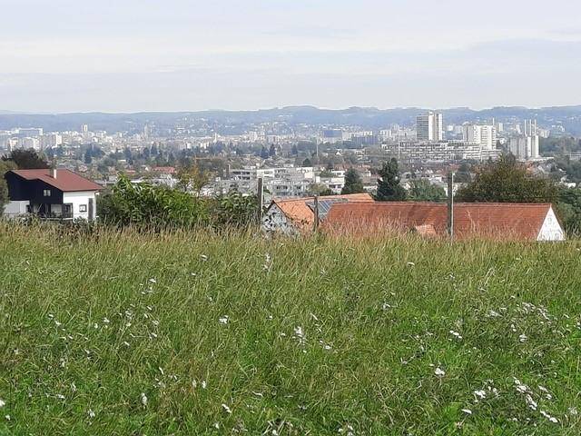 Nahaufnahme einer blühenden Wiese mit Häusern und einer klaren Sicht auf die städtische Skyline bei Tageslicht.