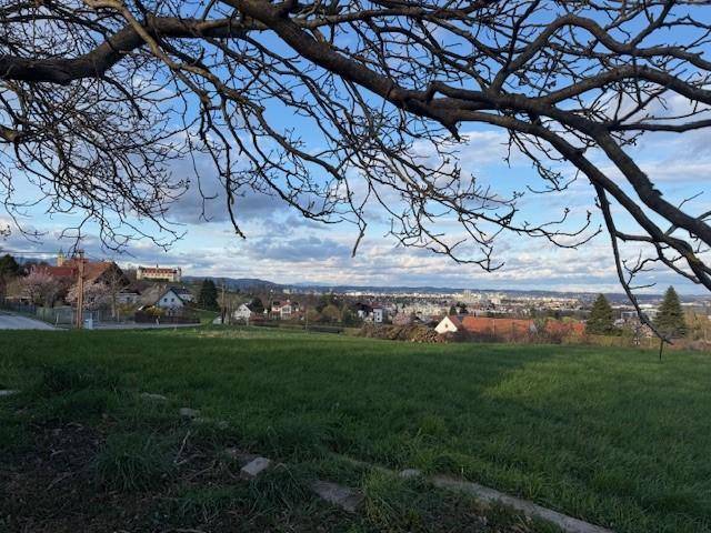 Panoramablick auf die Stadt und grüne Landschaft, eingerahmt von kahlen Ästen im Vordergrund.