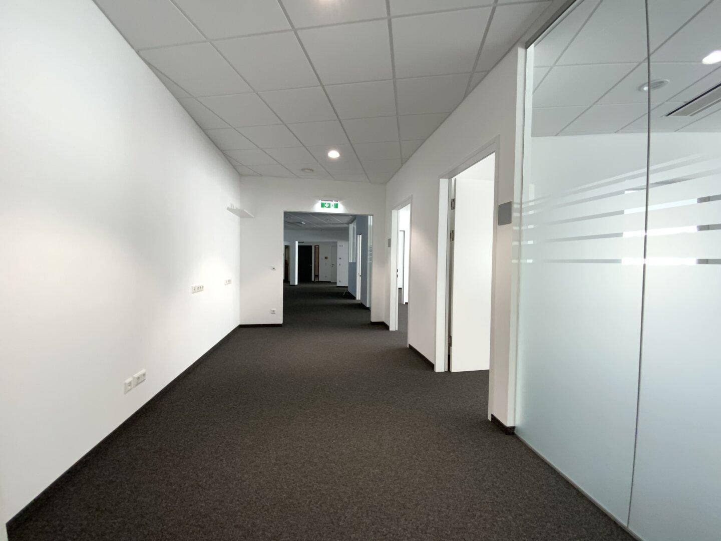 Langer, heller Flur mit Teppichboden, weißen Wänden und Türen zu verschiedenen Büroräumen.