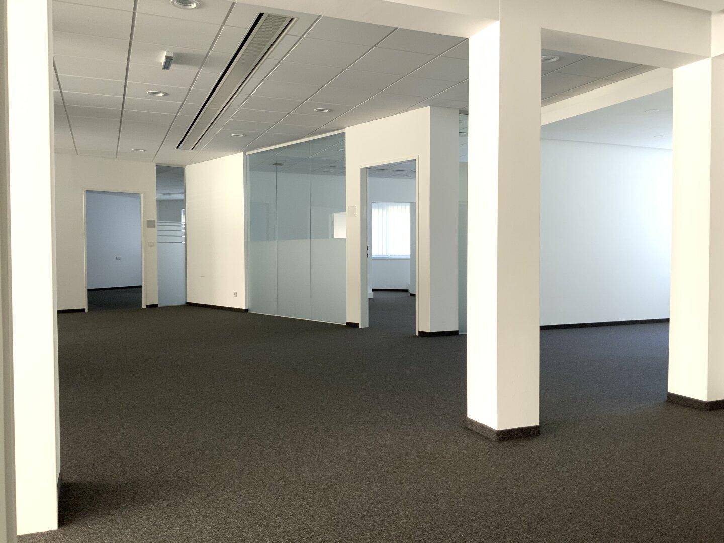 Geräumiger Bürobereich mit Teppichboden, weißen Wänden und Glasabtrennungen für separate Arbeitsbereiche.