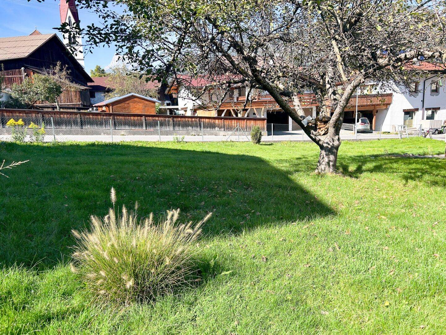Gepflegter Rasen mit einem alten Baum im Vordergrund und Wohnhäusern im Hintergrund.