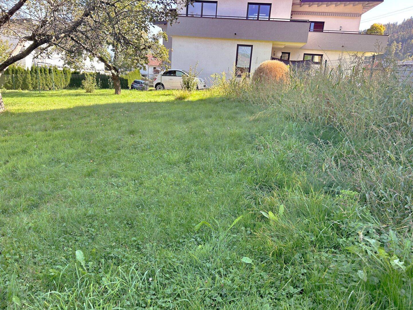Große Rasenfläche mit einem modernen Wohnhaus im Hintergrund und üppiger Vegetation.