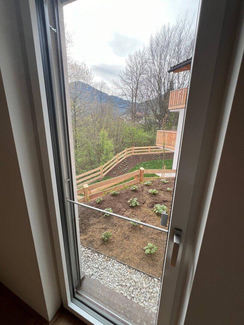 Blick aus dem Fenster auf einen kleinen Gartenbereich mit Pflanzen, Kies und einem Holzzaun.
