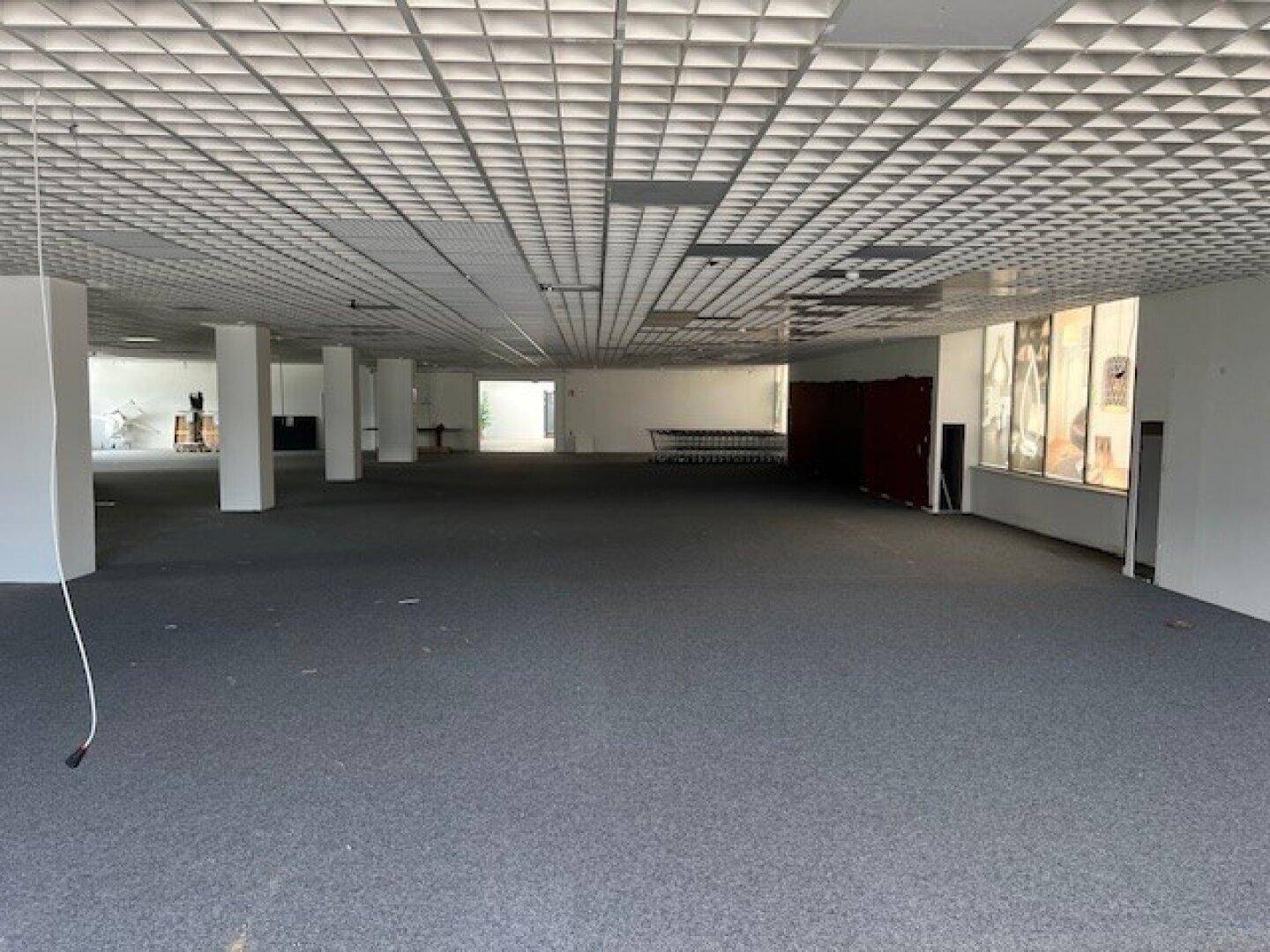 Großer, leerstehender Gewerberaum mit Teppichboden und Rasterdecke, bereit für neue Mieter.