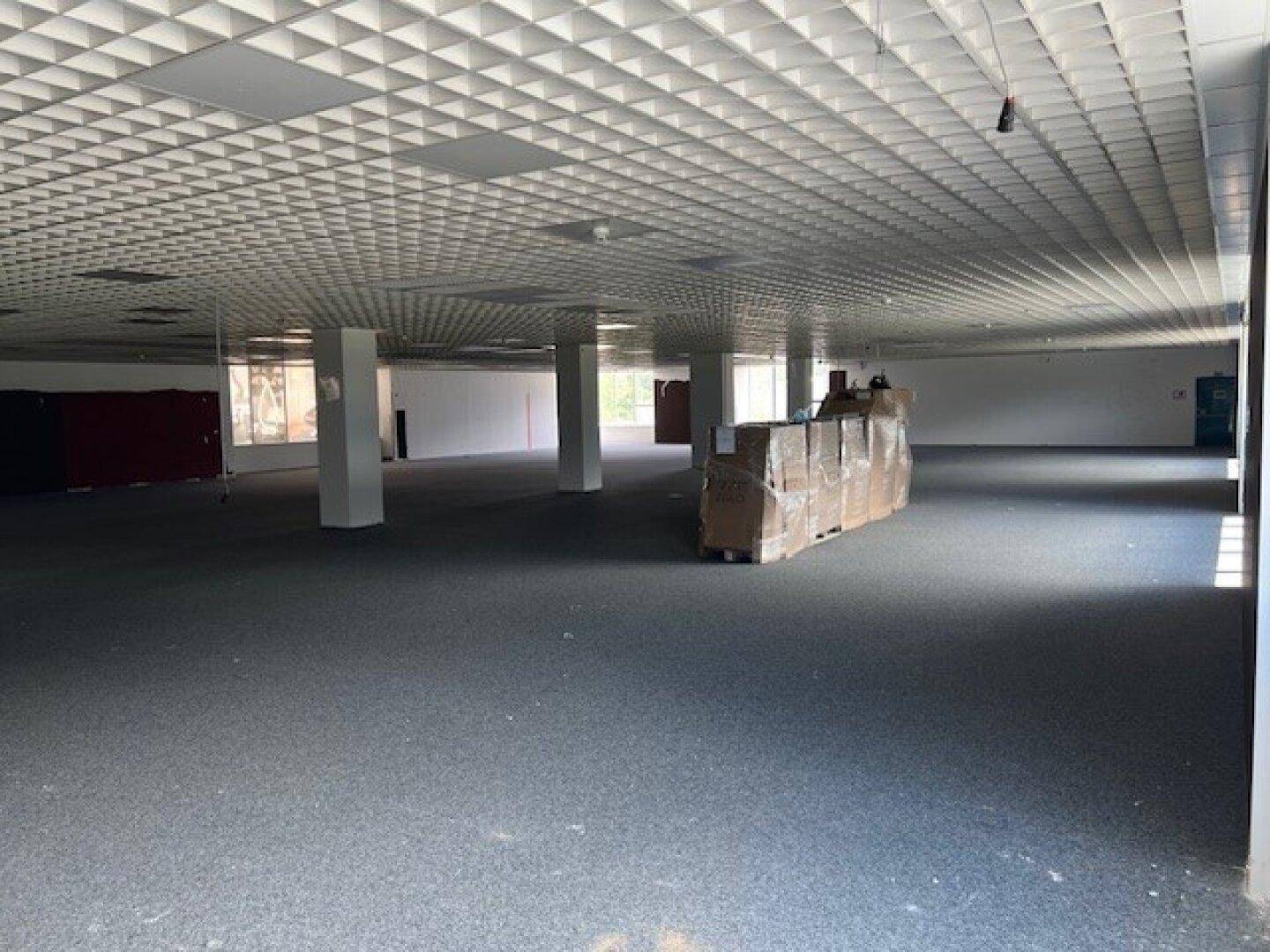 Großer, leerstehender Gewerberaum mit Teppichboden, Säulen und Rasterdecke, bereit zur Einrichtung.