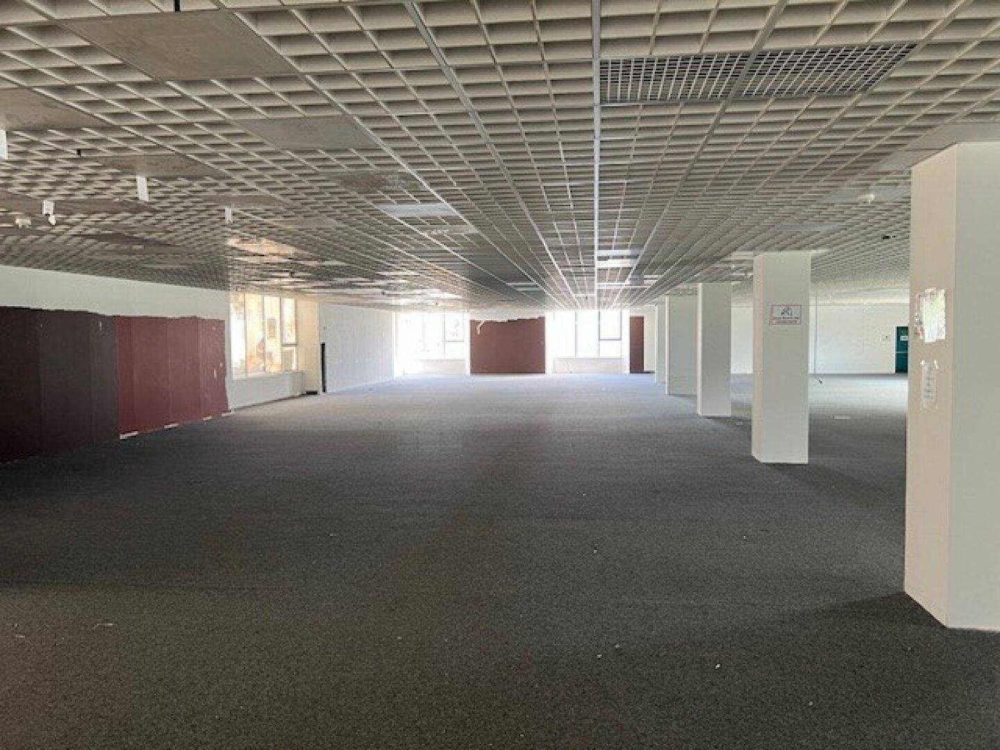 Großer, leerstehender Gewerberaum mit Teppichboden, Säulen und Rasterdecke, vielseitig nutzbar.