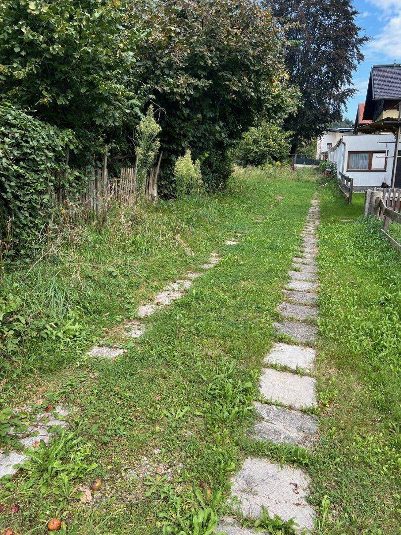 Verwilderter Gartenweg mit Trittsteinen, umgeben von hohem Gras und Sträuchern.