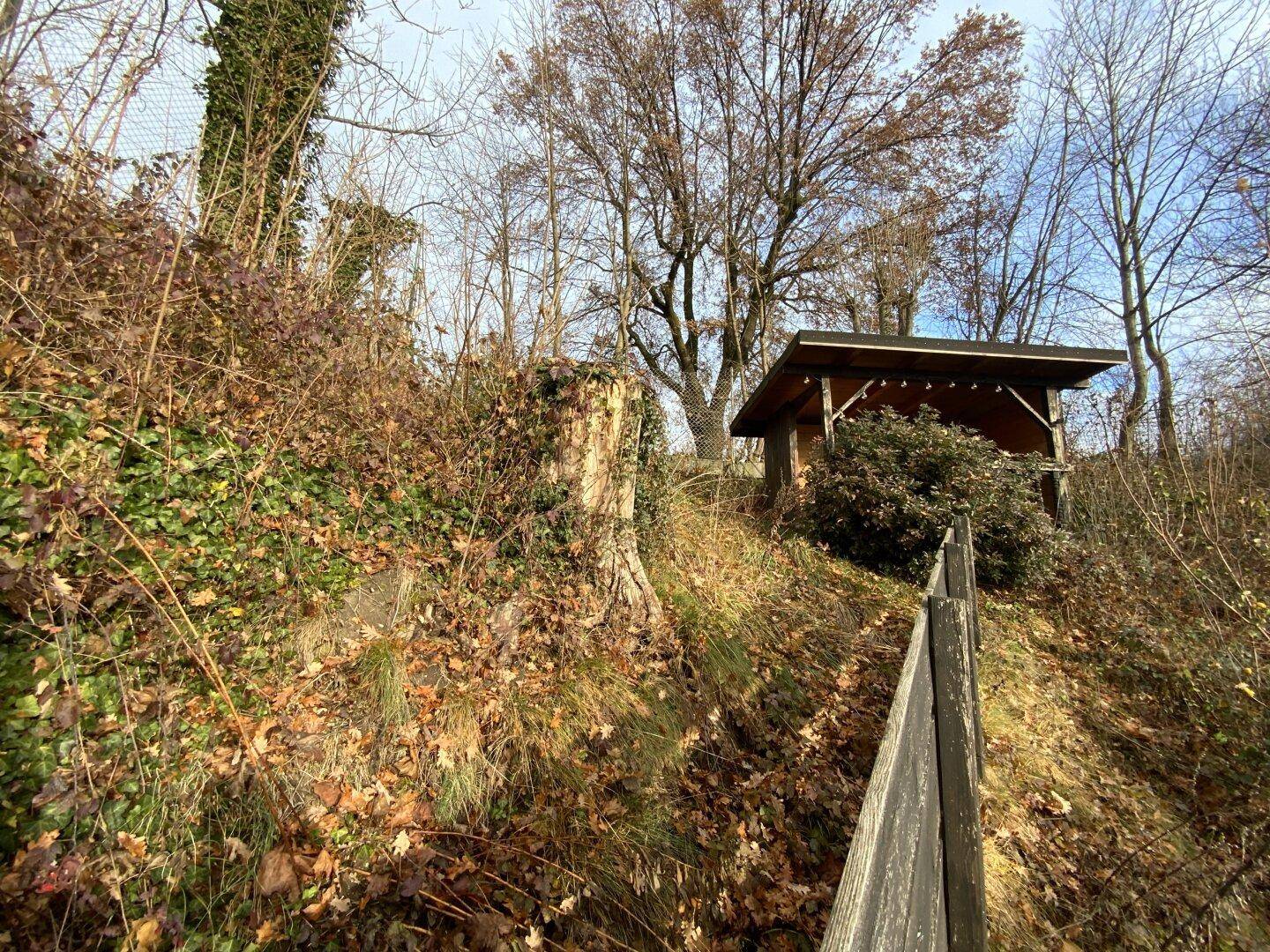 Hanglage mit bewachsenem Pfad und kleinem Holzunterstand.