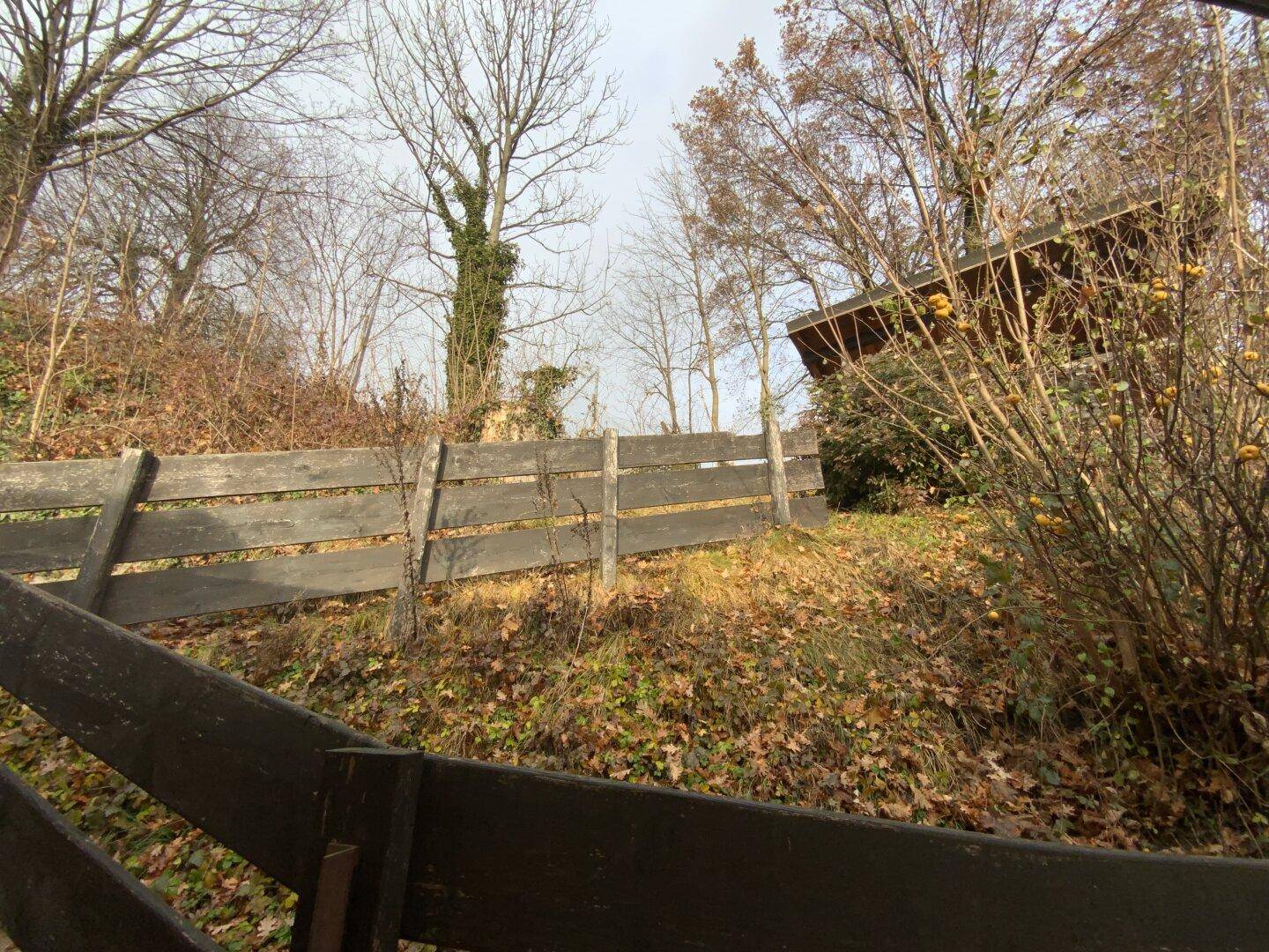 Holzzaun auf der Hanglage mit Bäumen und herbstlichem Laub.