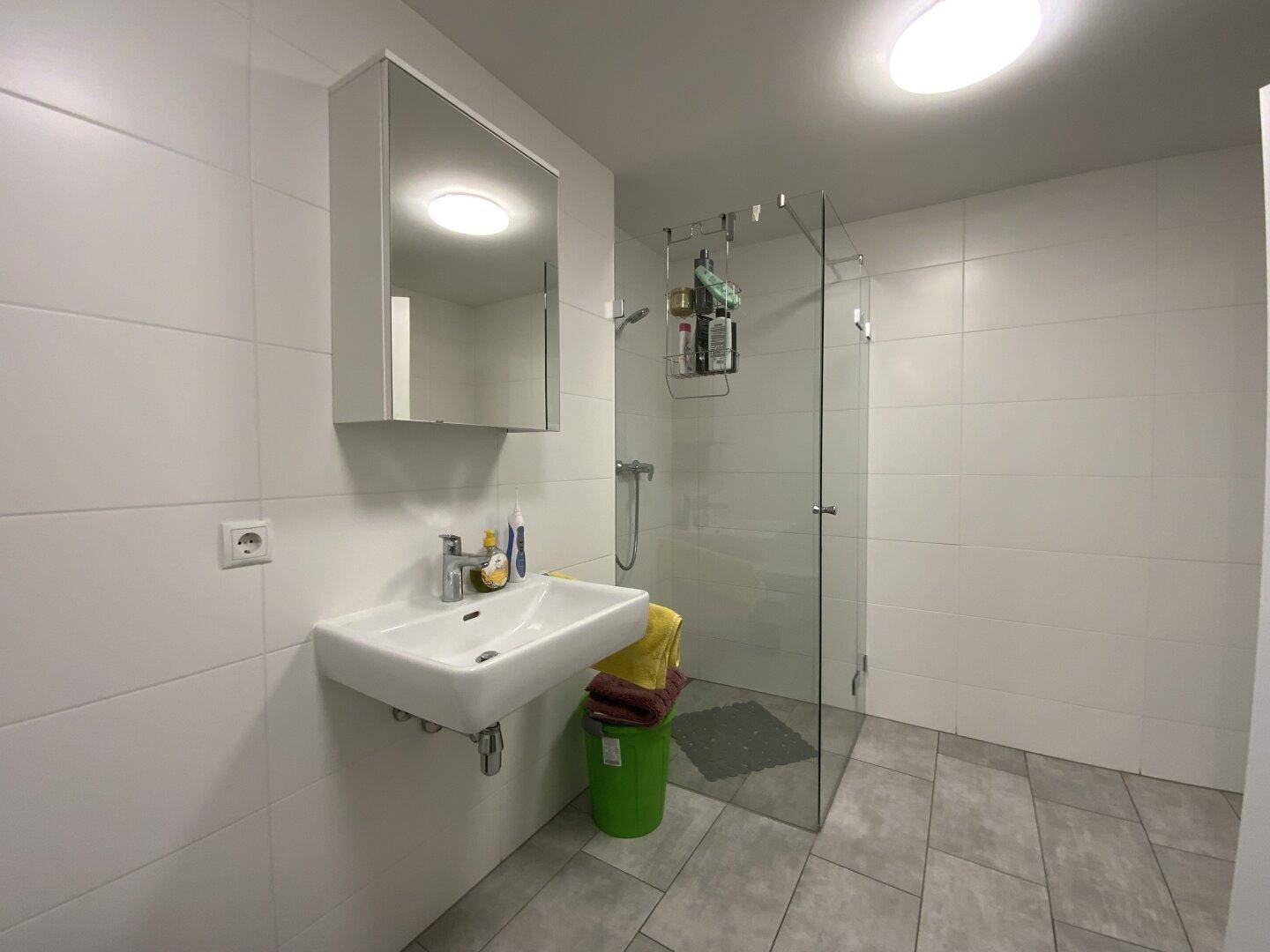 Modernes Badezimmer mit Waschbecken, Spiegelschrank und einer geräumigen begehbaren Dusche.