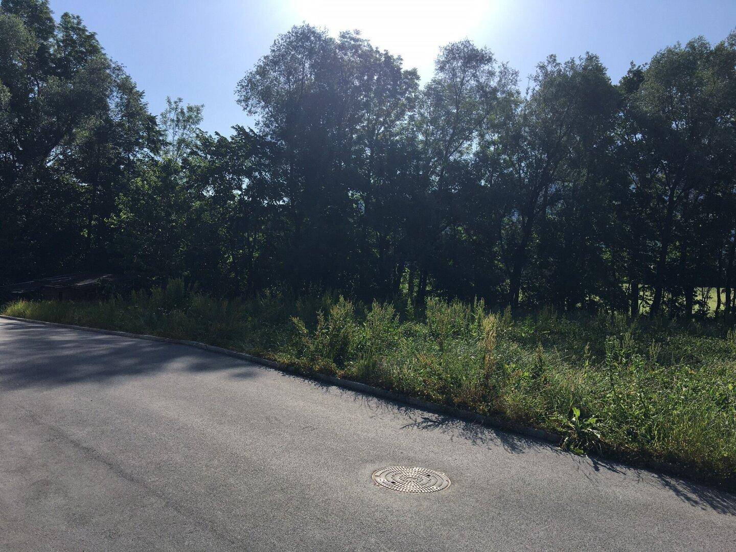 Straße führt zu einem großen, bewachsenen Grundstück mit Bäumen und weitem Blick in die Natur.