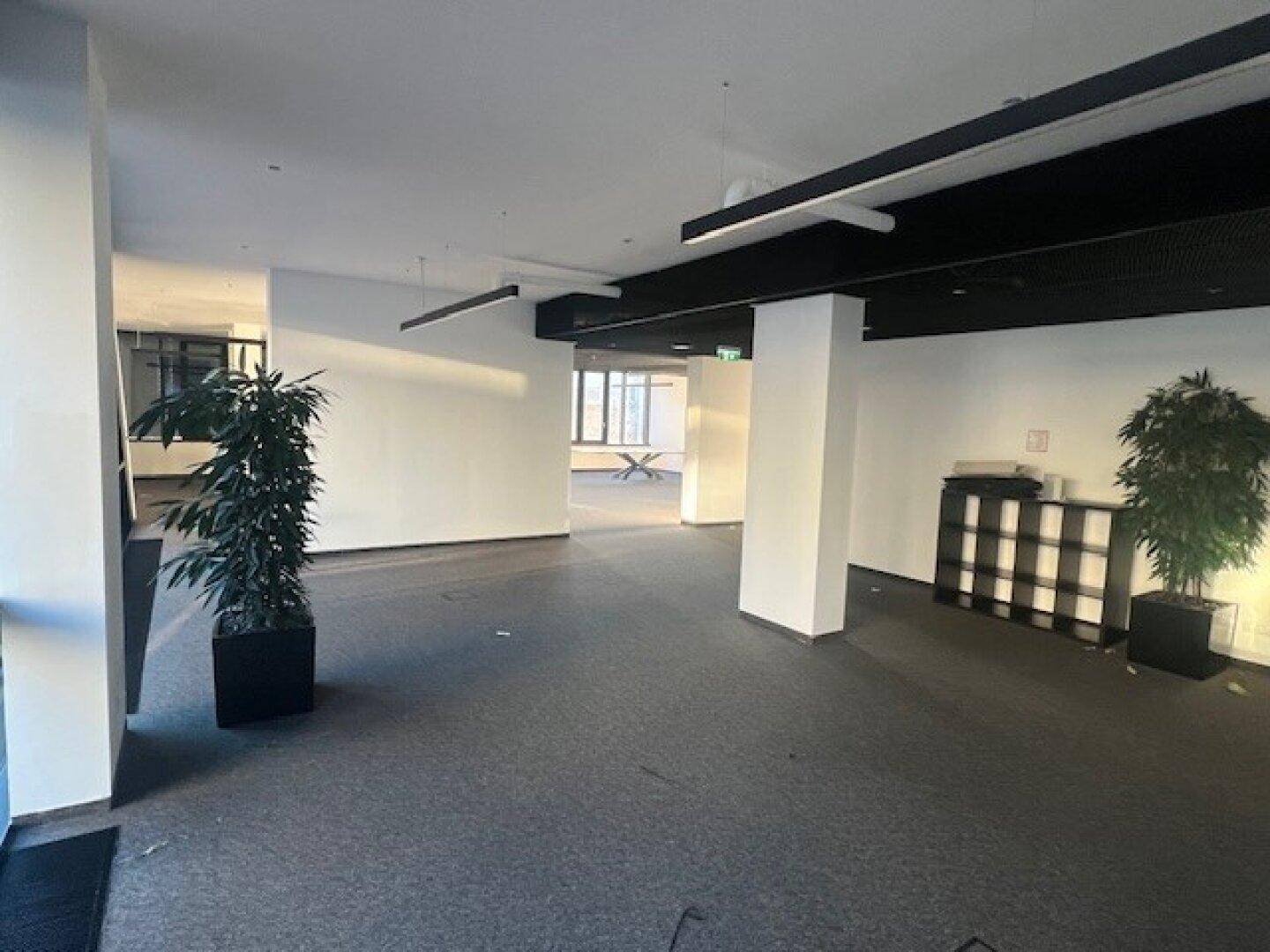 Großer, offener Bürobereich mit Teppichboden, Säulen und Pflanzen, ideal für flexible Arbeitsplatzgestaltung.