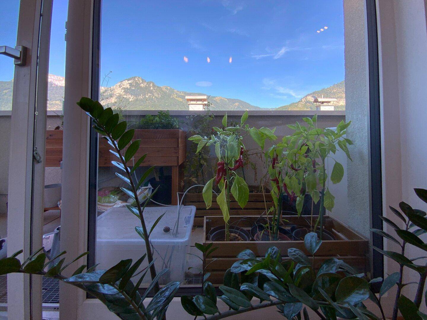 Blick aus dem Fenster auf die Terrasse mit Pflanzen und die majestätische Berglandschaft.