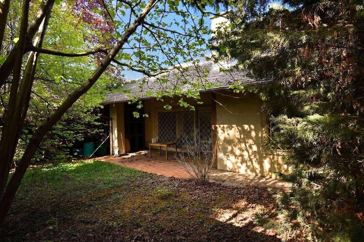 Rückseite des Hauses mit kleiner gepflasterter Terrasse und angrenzendem Gartenbereich unter Bäumen.