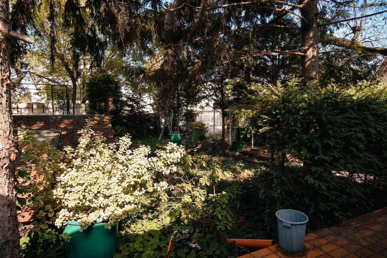 Üppiger Gartenbereich mit verschiedenen Pflanzen, Bäumen und Sträuchern, teilweise im Schatten.