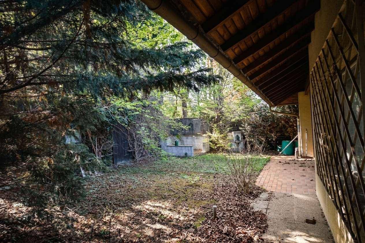 Gartenbereich mit Laub auf dem Boden und einem gepflasterten Weg entlang der Hausseite.