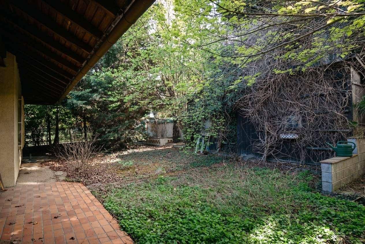 Gartenbereich neben dem Haus mit gepflastertem Weg und üppiger Vegetation, teilweise mit Efeu bewachsen.