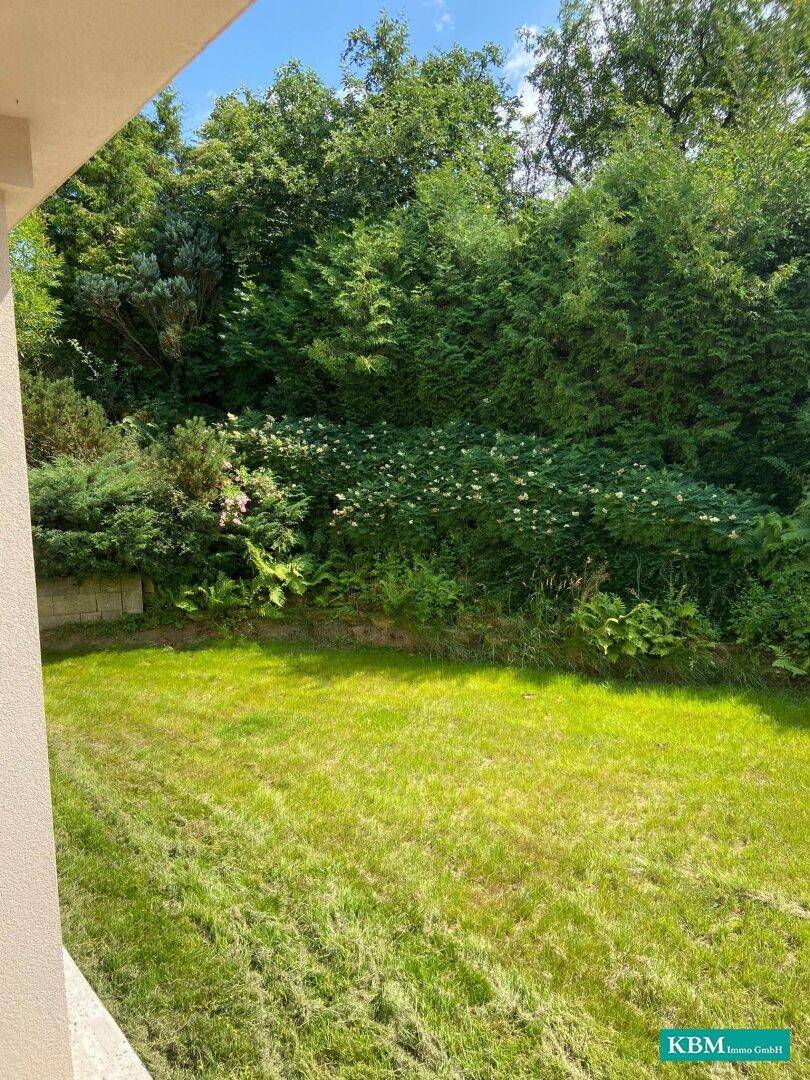 Blick auf den grünen Garten mit dichtem Bewuchs und gepflegtem Rasen von einer überdachten Terrasse.