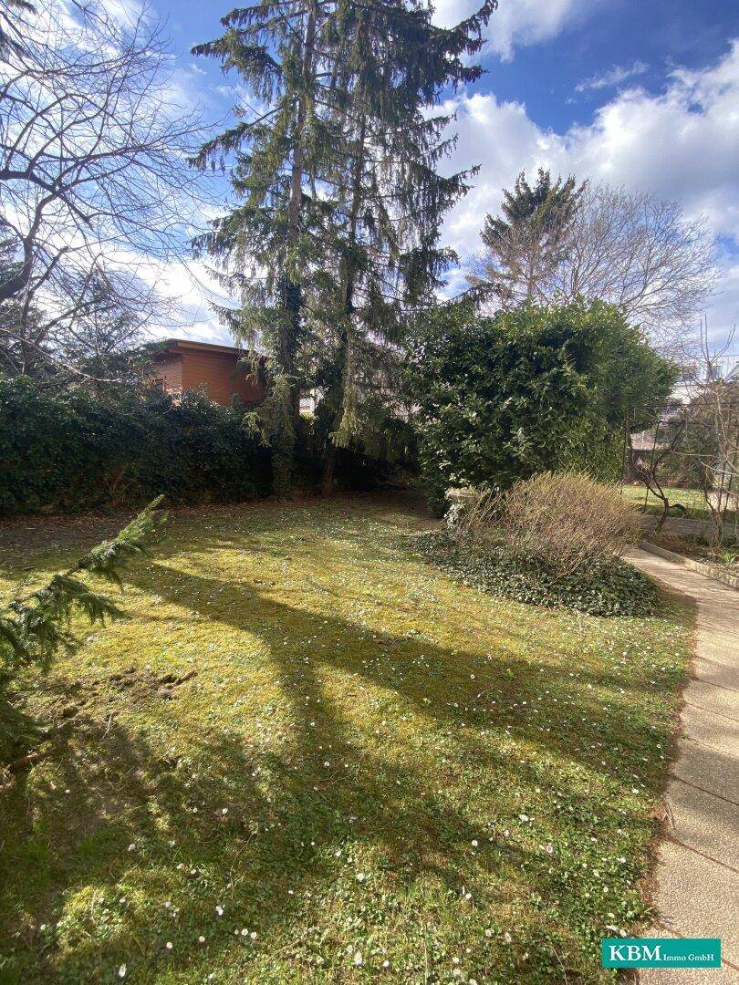 Sonniger Gartenbereich mit Rasenfläche, hohen Bäumen und blühenden Pflanzen, ideal zur Erholung.