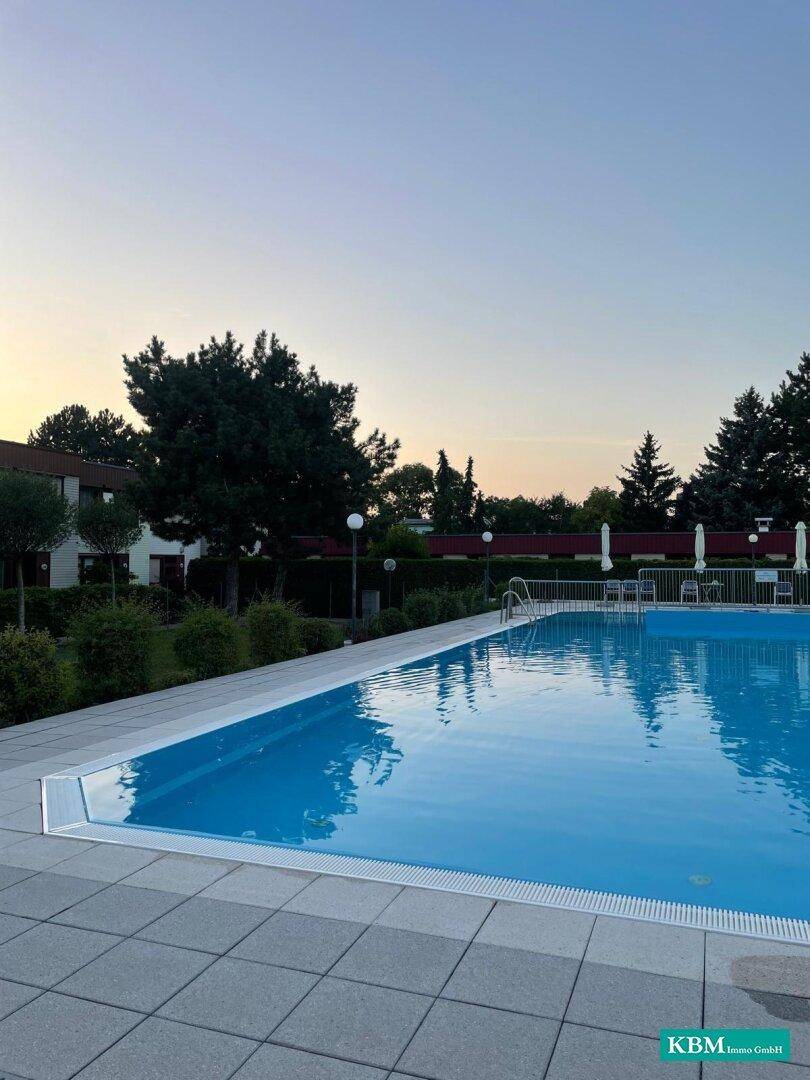 Gemeinschaftspool mit blauer Fliesenfläche und Liegebereich in ruhiger Umgebung.
