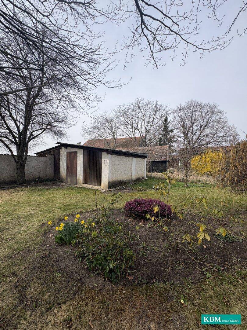 Gartenbereich mit Rasen, Blumenbeeten und einem kleinen Schuppen im Hintergrund.