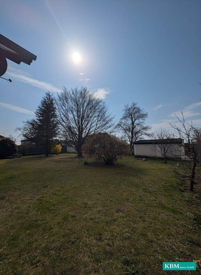 Großer, sonniger Garten mit Rasenfläche und verschiedenen Bäumen im Frühling.