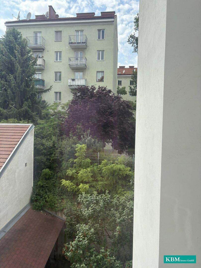 Blick auf ein grünes Umfeld mit Bäumen und einem gegenüberliegenden Gebäude mit Balkonen.