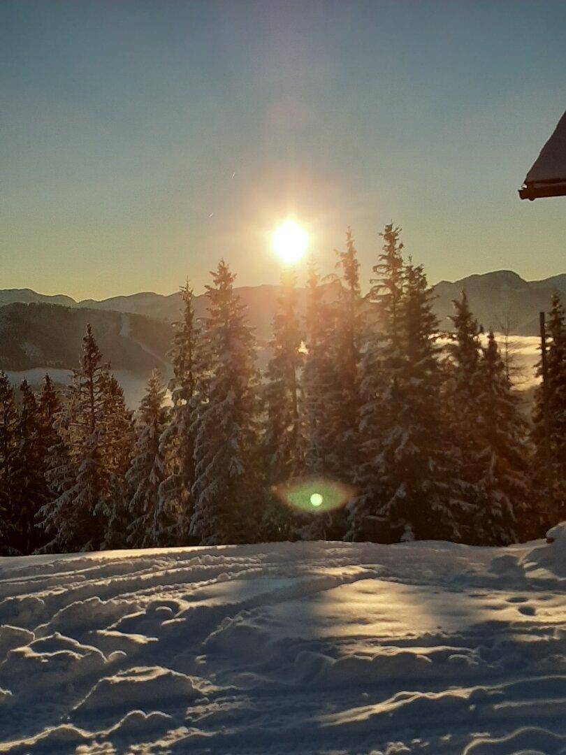 Sonnenuntergang über einer verschneiten Waldlandschaft mit hohen Tannen und glitzerndem Schnee.