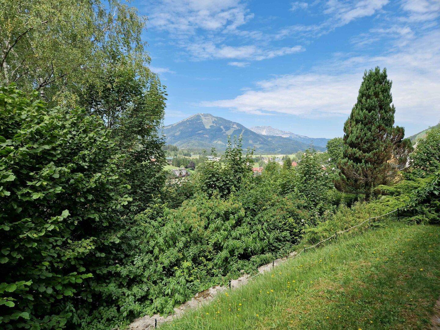 Malerischer Ausblick auf die majestätischen Berge und die üppige grüne Landschaft von der Unterkunft.
