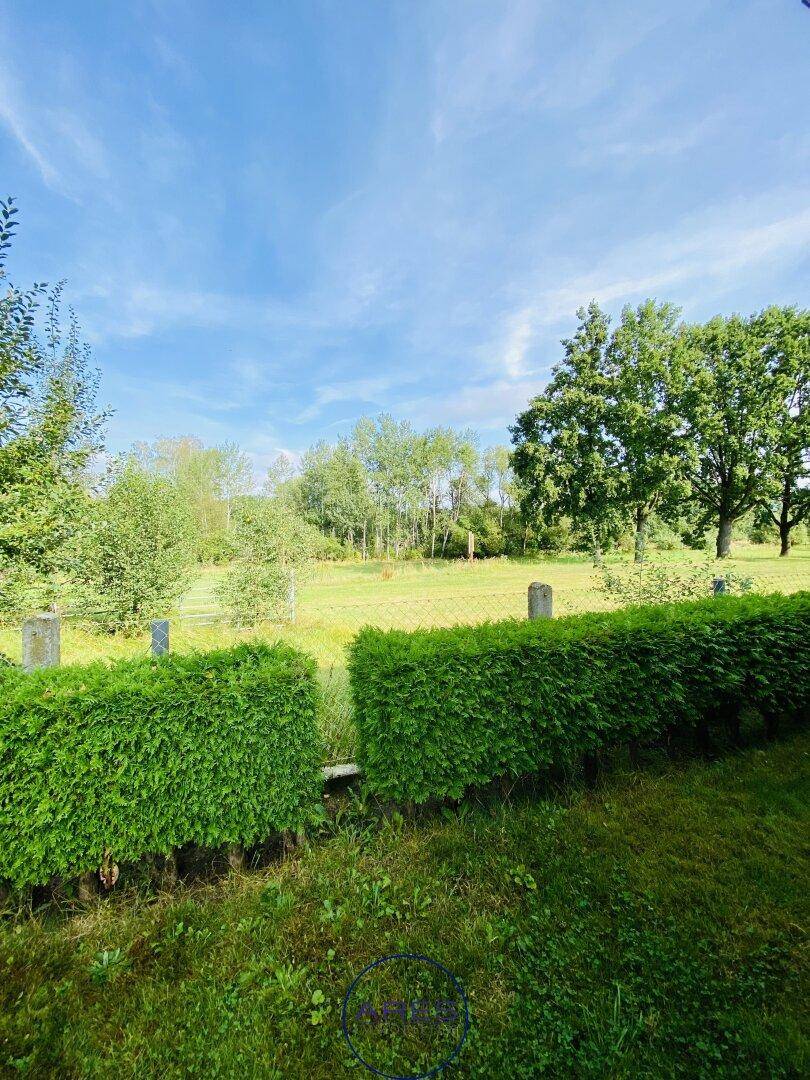 Weitläufiger Blick über eine grüne Wiese mit Bäumen im Hintergrund und einer Hecke im Vordergrund.