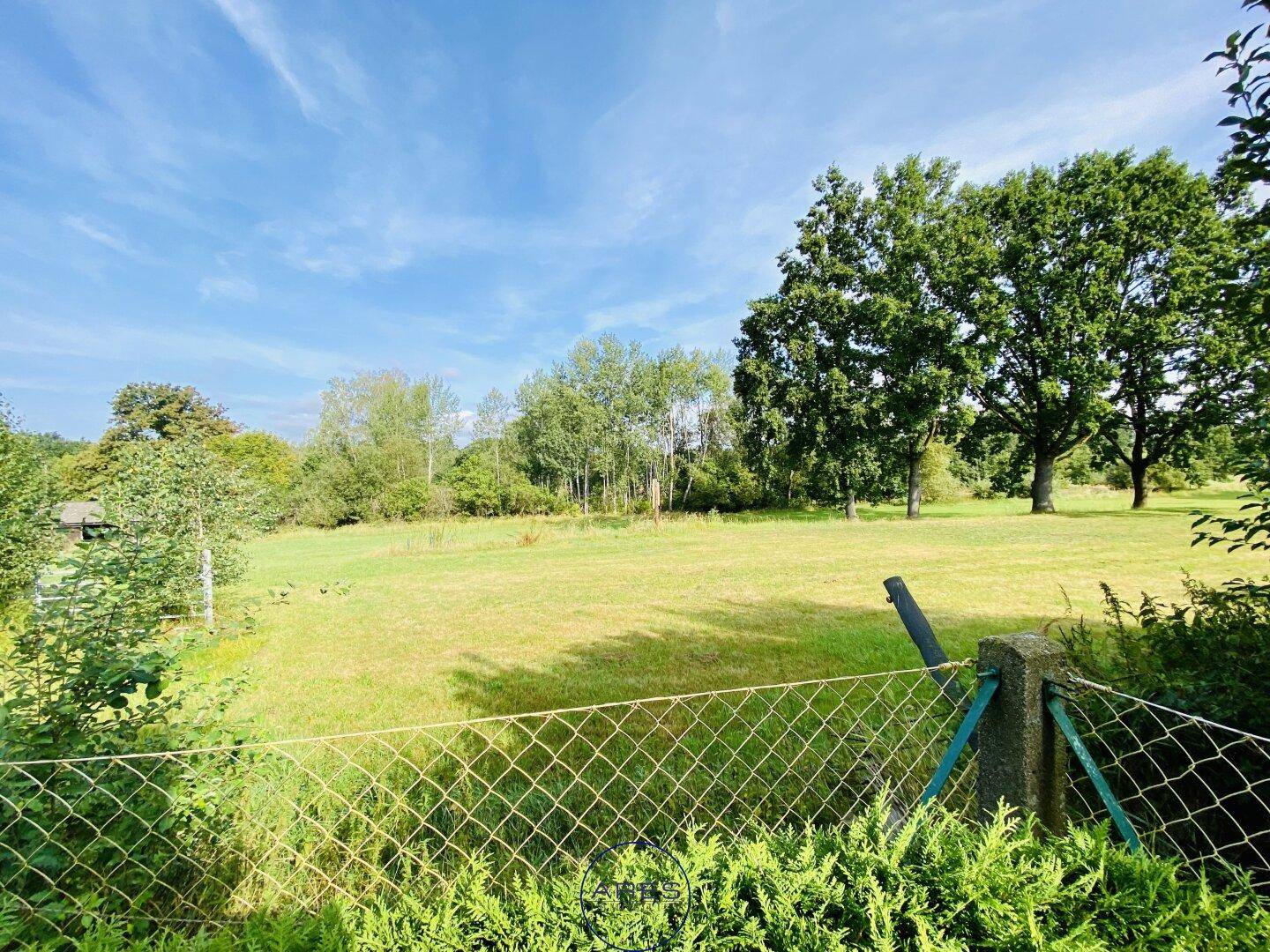 Panoramablick auf eine weite grüne Wiese mit alten Bäumen unter blauem Himmel.