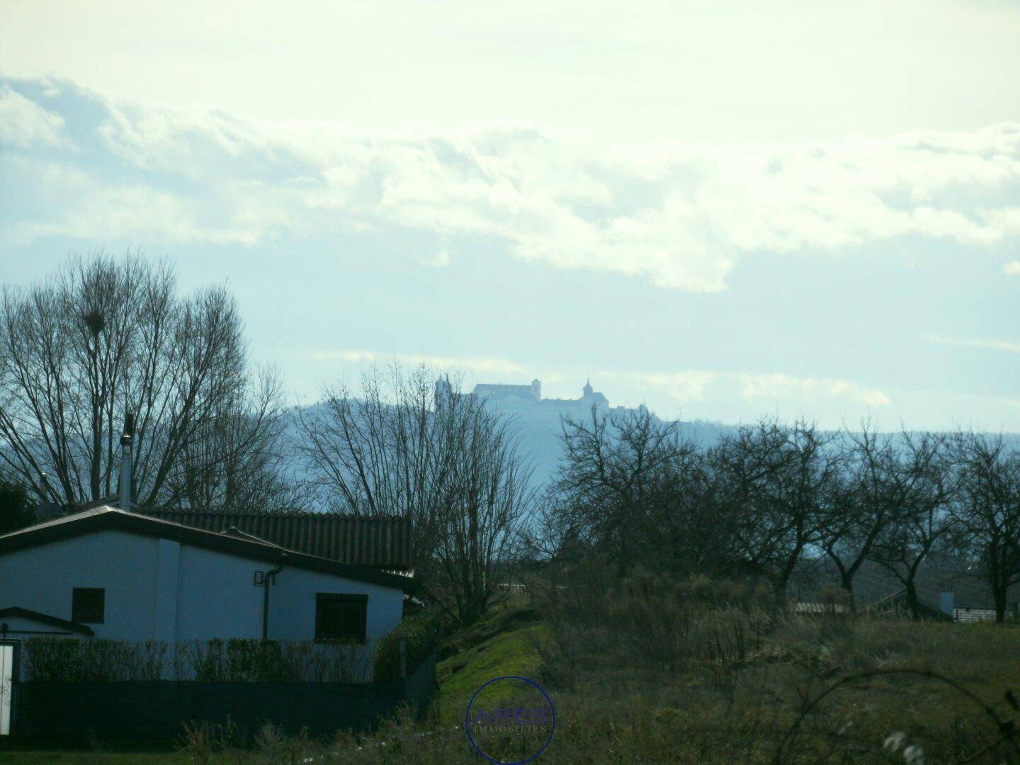 Fernblick auf eine historische Burg oder ein großes Gebäude auf einem Hügel mit Bäumen im Vordergrund.