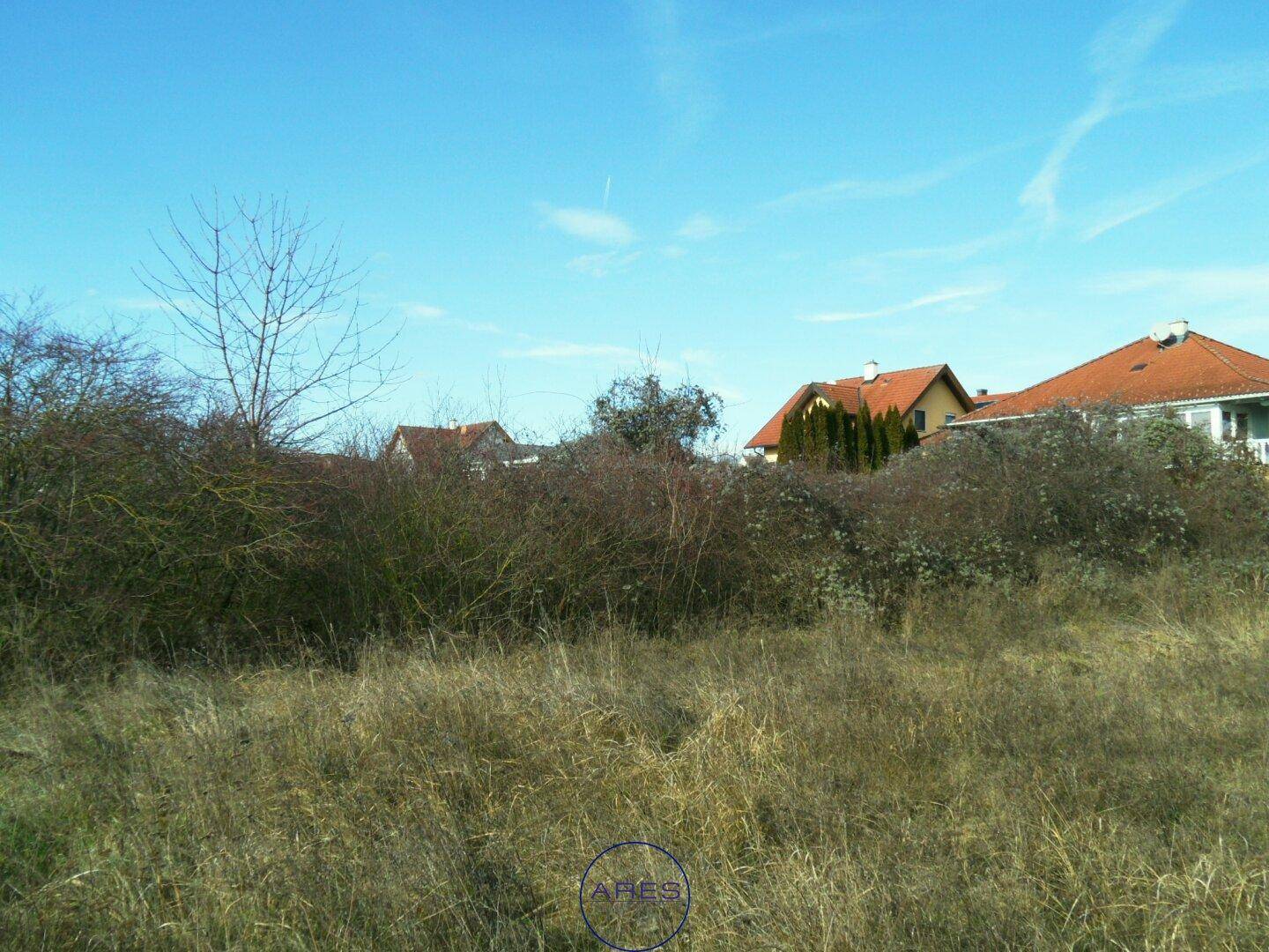 Trockenes Feld mit Büschen und Wohnhäusern im Hintergrund unter einem klaren blauen Himmel.