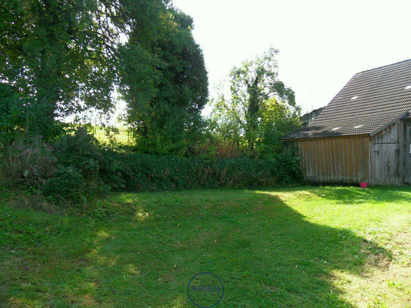 Weitläufige Rasenfläche im Garten mit üppiger Hecke und angrenzendem Holzschuppen.