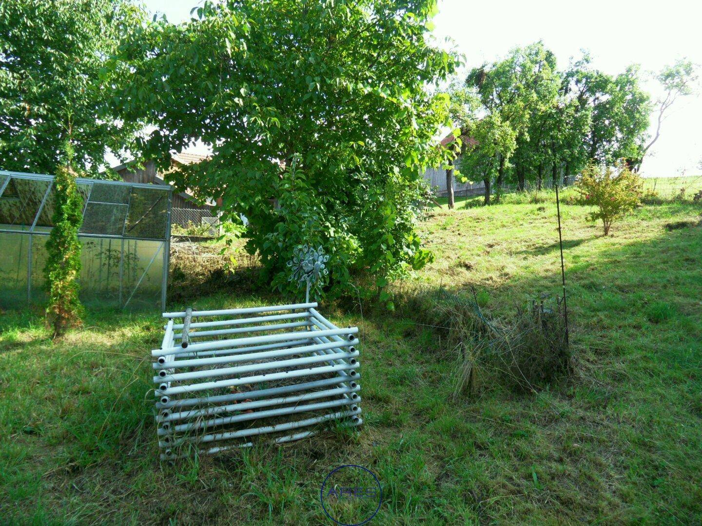 Gartenbereich mit Gewächshaus, Bäumen und einer Ansammlung von Metallstangen.
