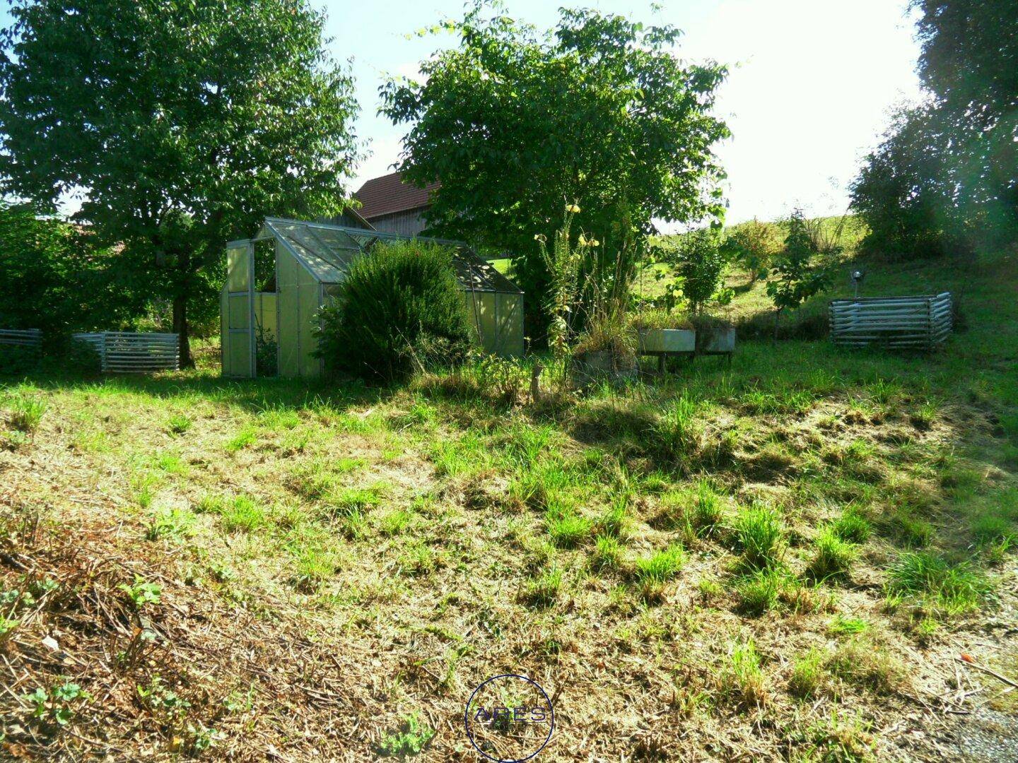 Grüner Garten mit Gewächshaus und leicht abfallendem Gelände unter blauem Himmel.