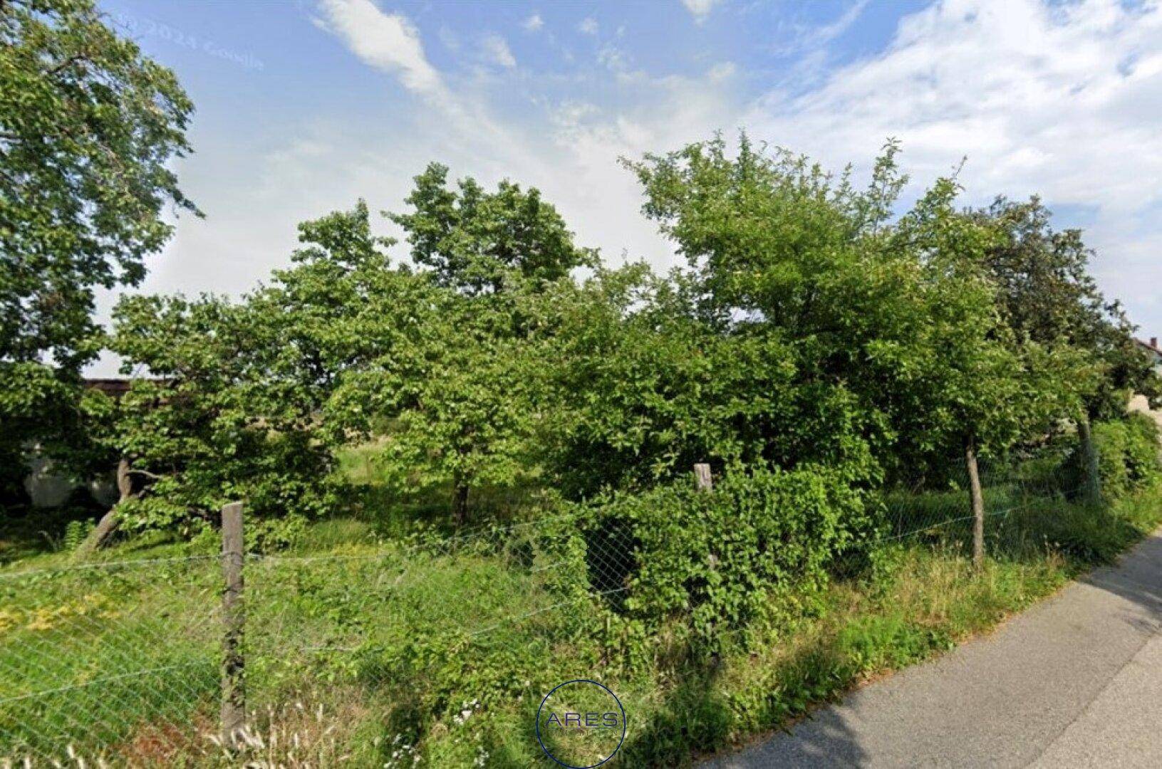 Straßenansicht eines Grundstücks mit dichtem Baumbestand und Büschen, durch einen Drahtzaun abgetrennt.