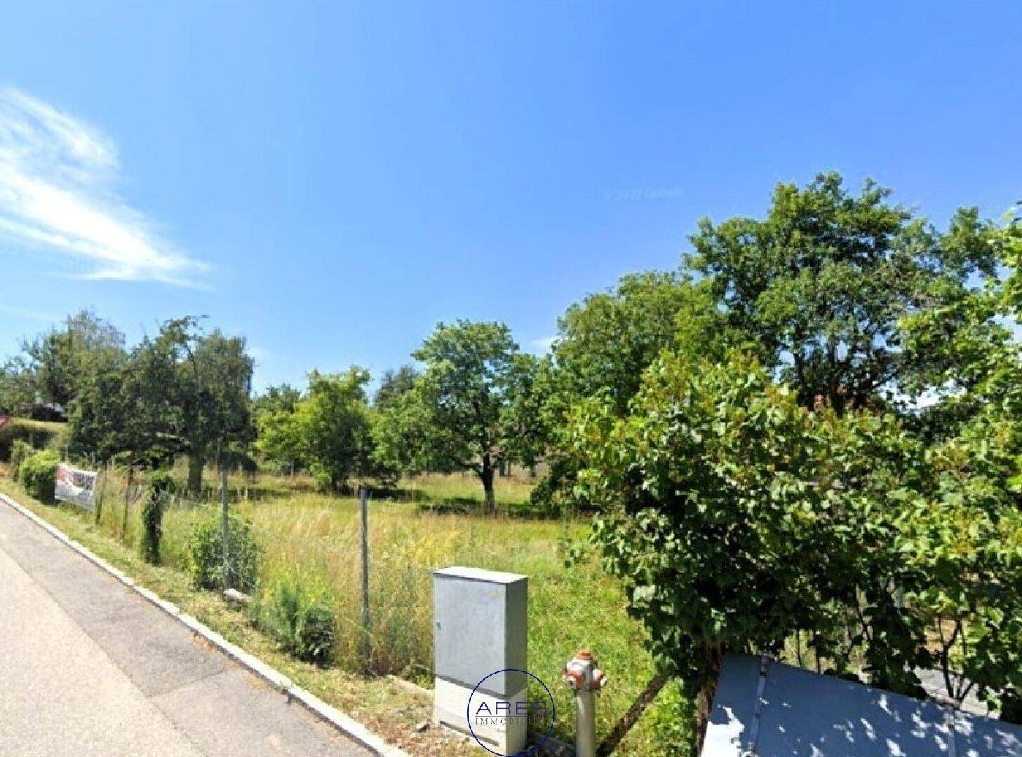 Straßenansicht eines grünen Grundstücks mit Bäumen, einem Gehweg und einem Versorgungskasten am Rand.
