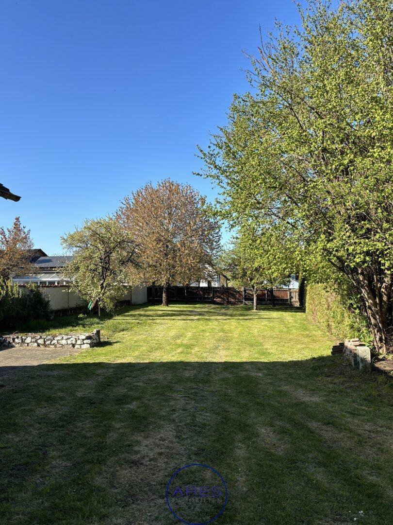 Großer, gepflegter Garten mit Rasenfläche und mehreren Bäumen unter blauem Himmel.