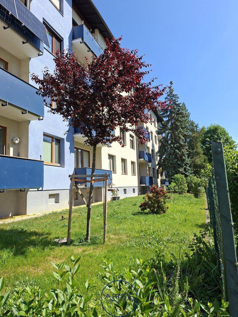 Gepflegte Grünfläche mit jungen Bäumen und Rasen vor der Wohnanlage.