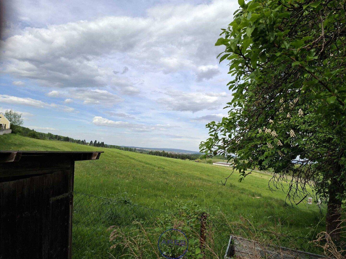 Grüne Wiesenlandschaft mit einem Baum und einer kleinen Holzhütte im Vordergrund unter bewölktem Himmel.
