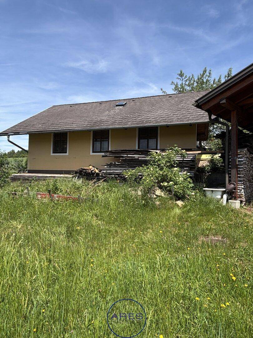 Rückseite des Hauses mit gelber Fassade und gestapeltem Holz, umgeben von hohem Gras.