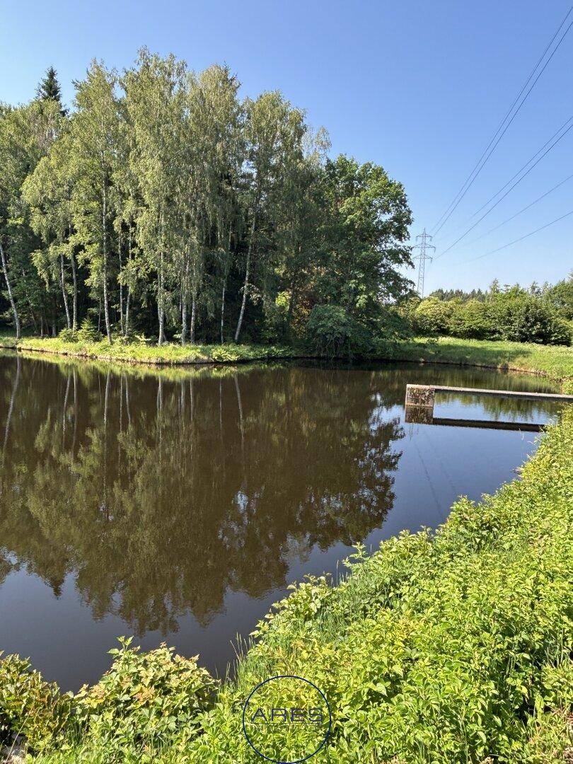 Malerischer Teich umgeben von üppiger Vegetation und hohen Bäumen unter klarem, blauem Himmel.